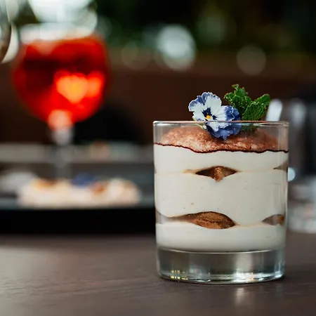 Hotel Sky Airport 4*